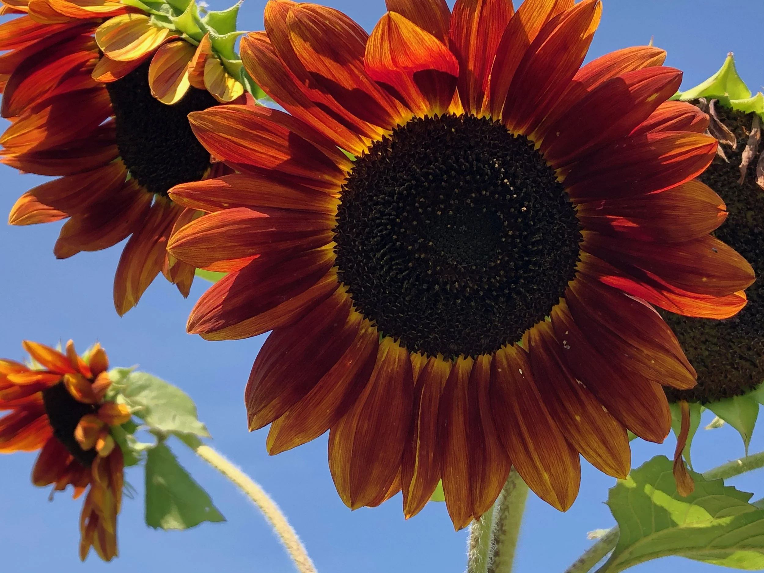 Welcome to the September Newsletter