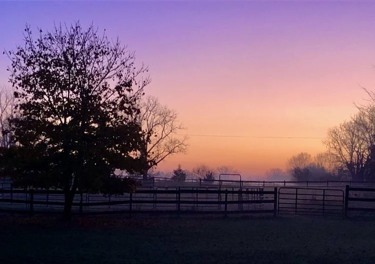 Welcome to the November Newsletter