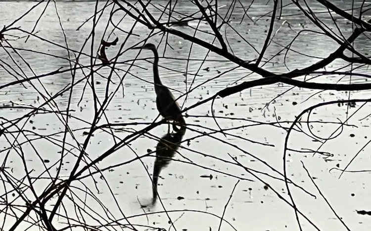 Welcome to the December Newsletter