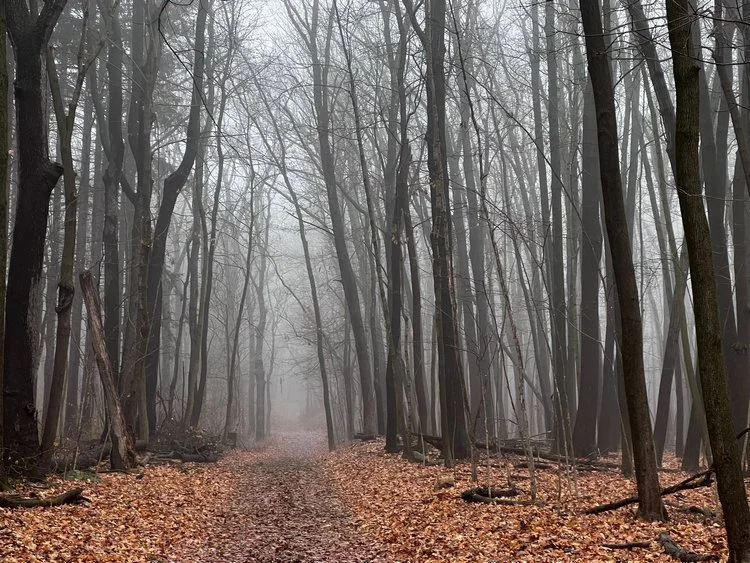 Welcome to the January 2023 Newsletter