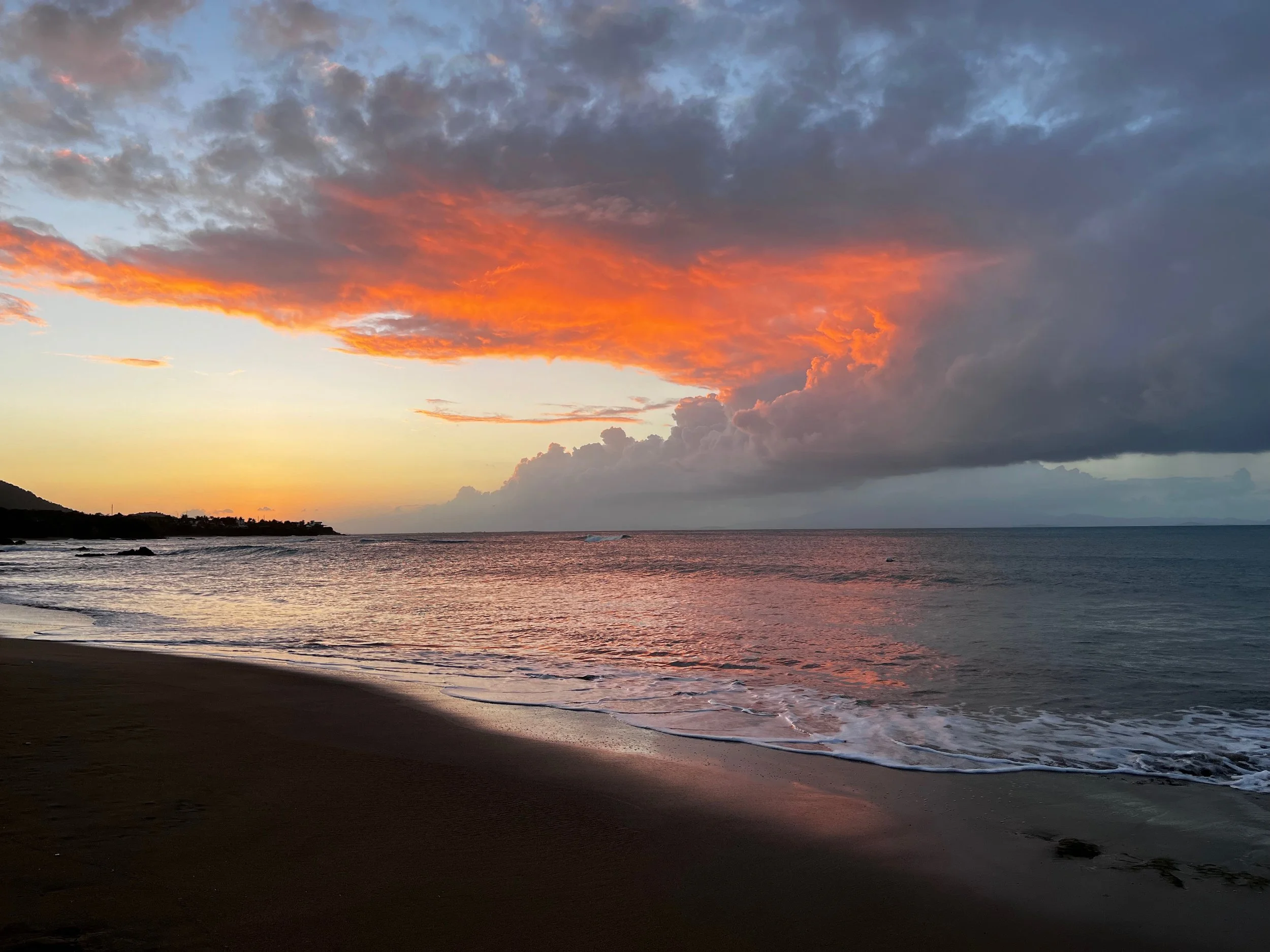 Welcome to the February 2023 Newsletter