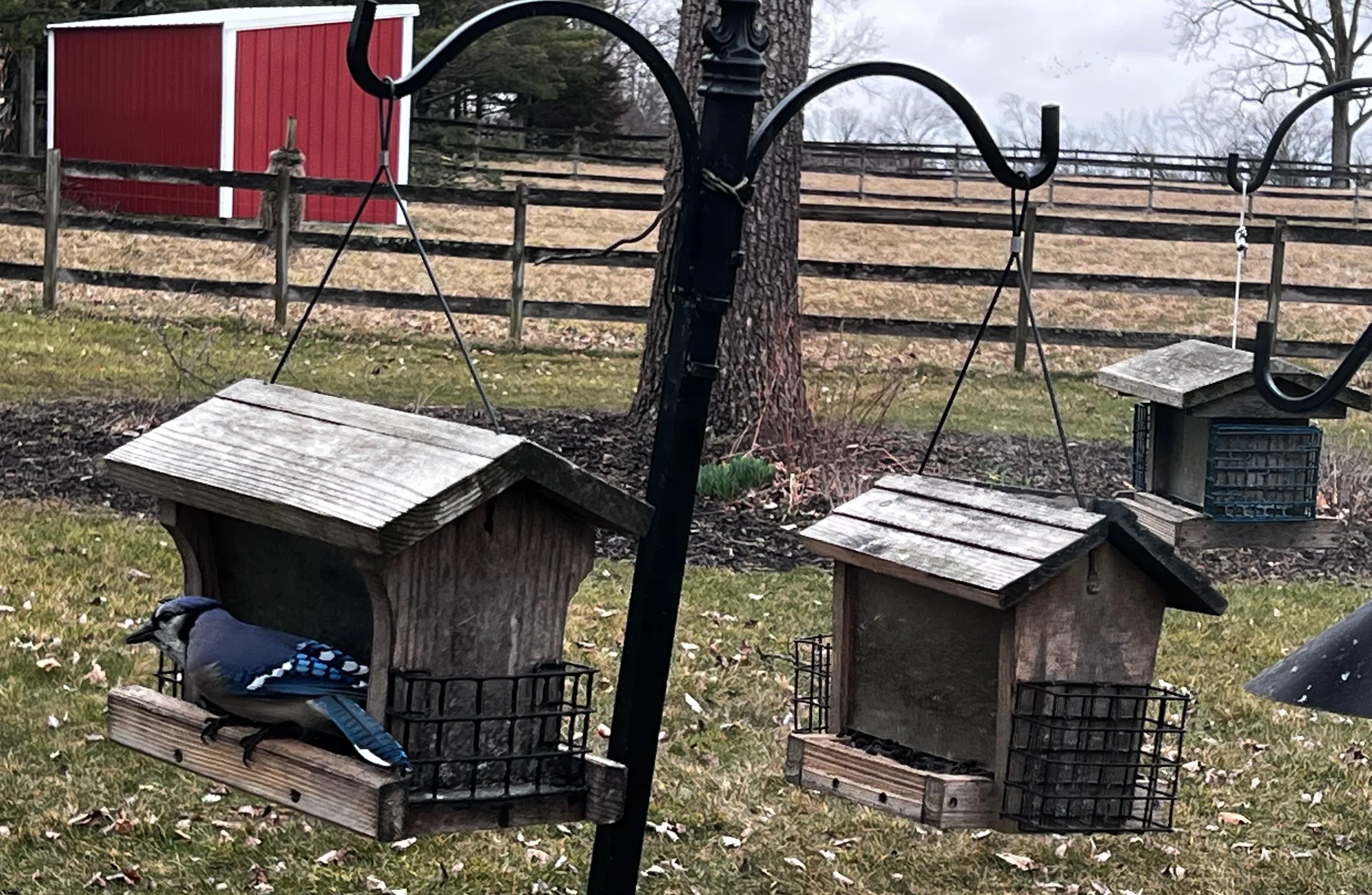 Welcome to the March 2023 Newsletter