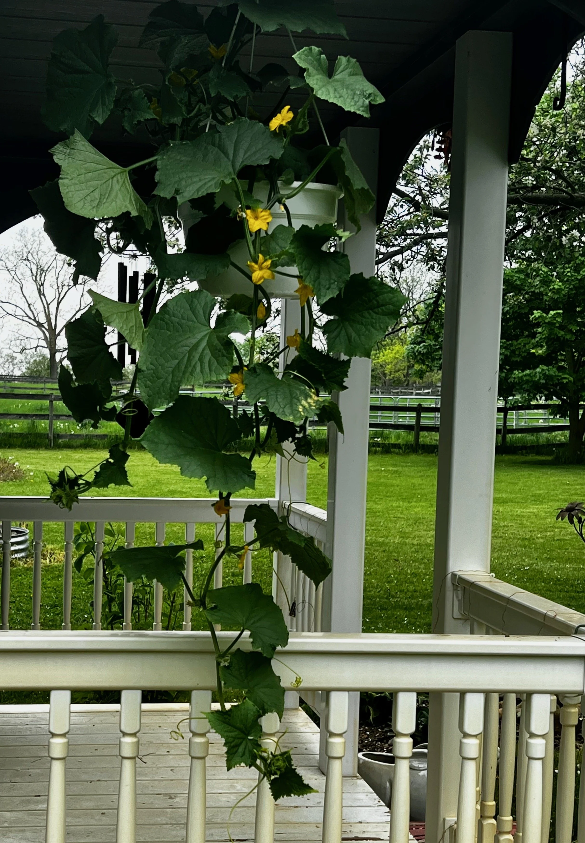 Welcome to the June 2023 Newsletter