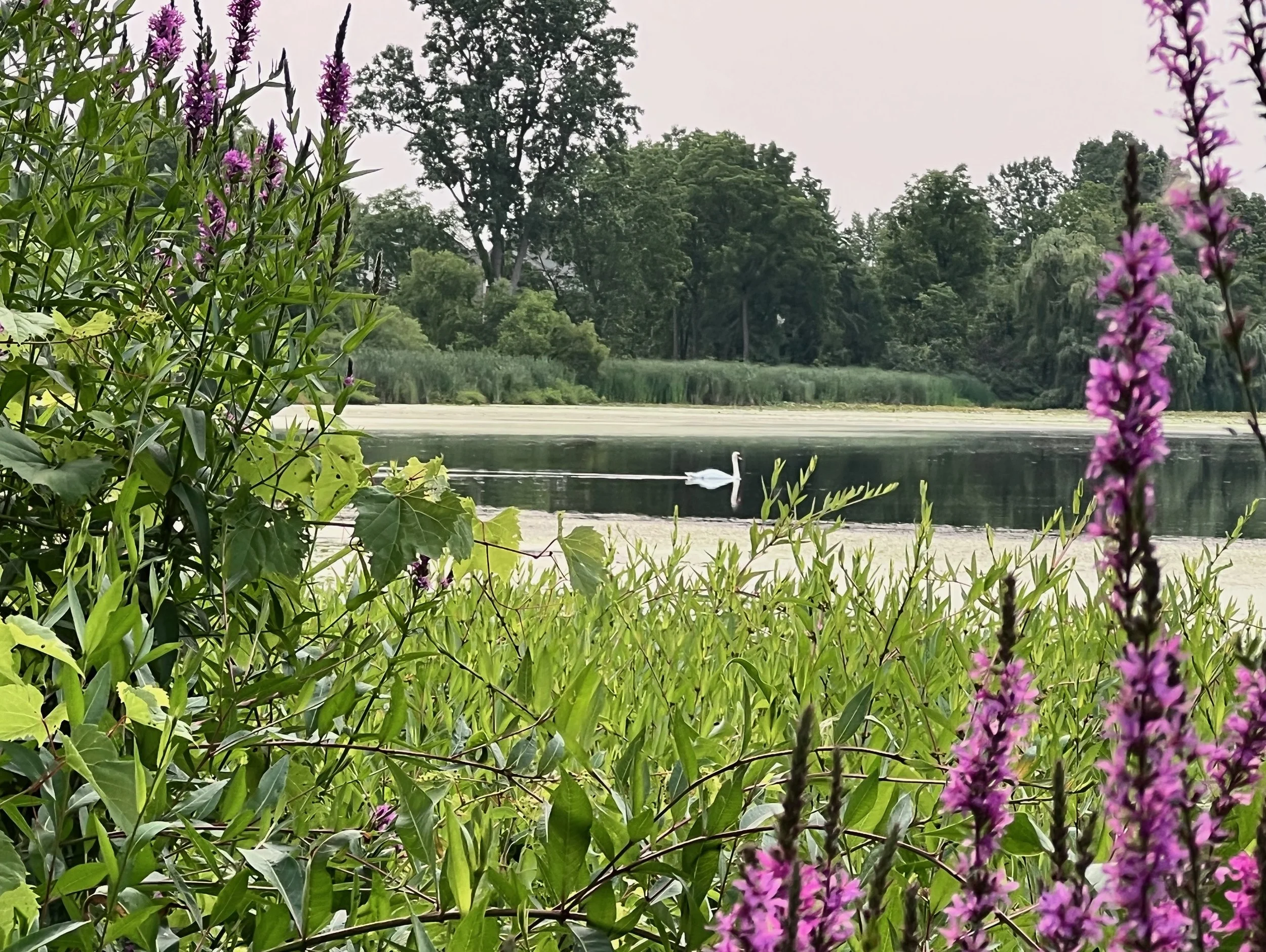 Welcome to the August 2023 Newsletter
