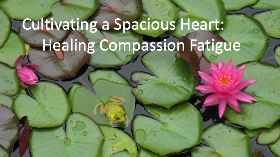 Compassion Fatigue 2.png