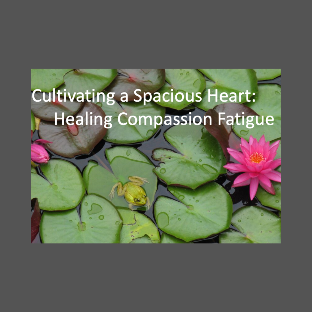 Cultivating a Spacious Heart: Healing Compassion Fatigue