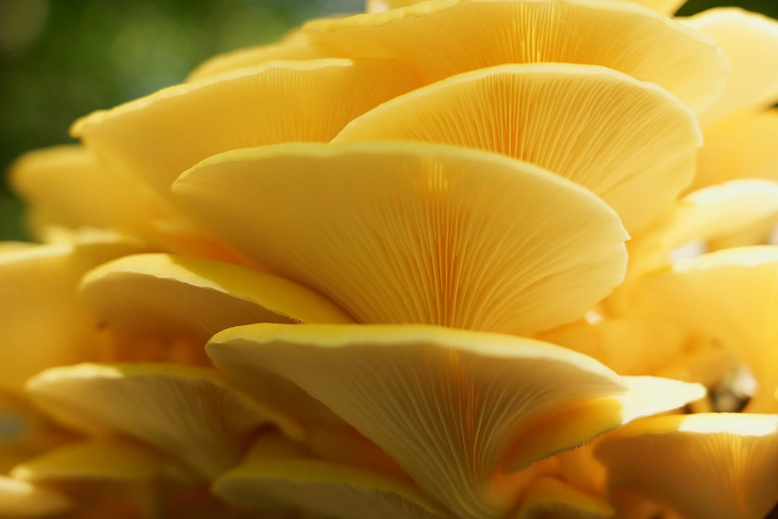 Welcome to the September 2024 Newsletter