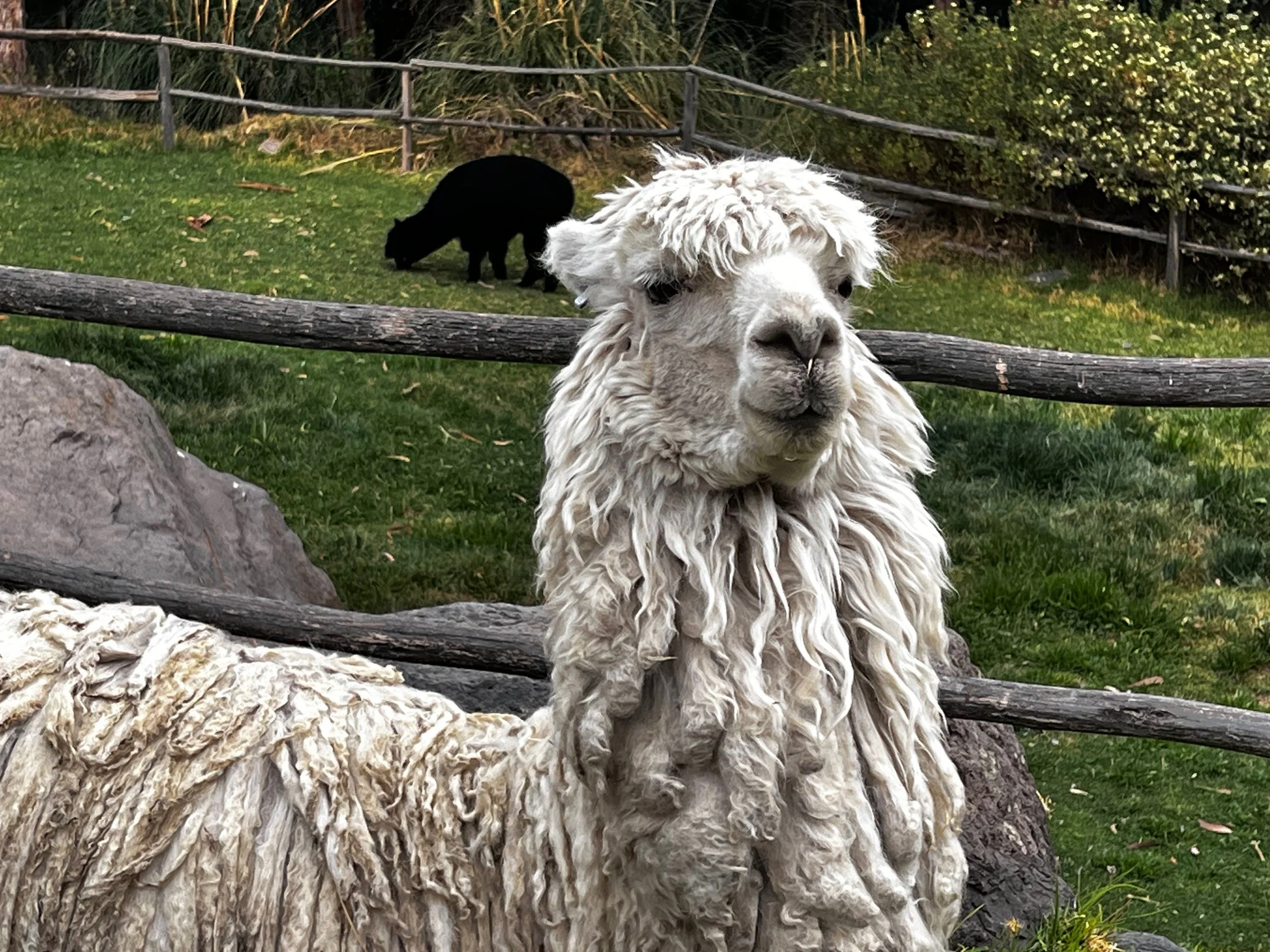 Welcome to the November / December 2025 Newsletter