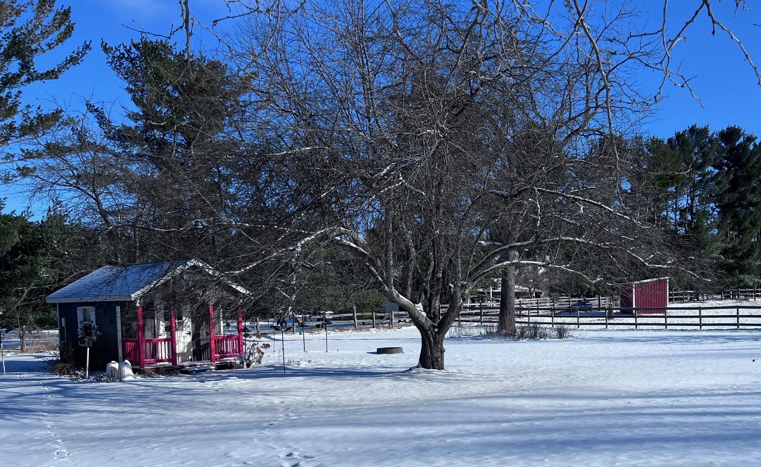 Welcome to the January 2026 Newsletter