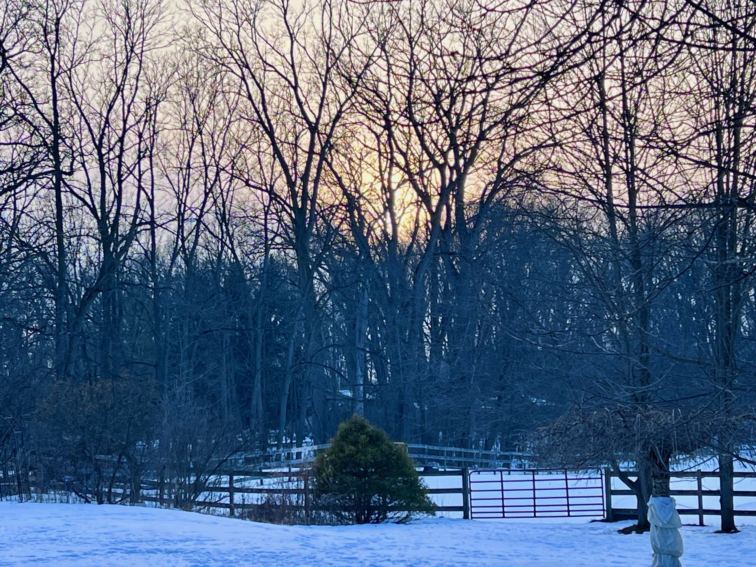 Welcome to the February 2026 Newsletter