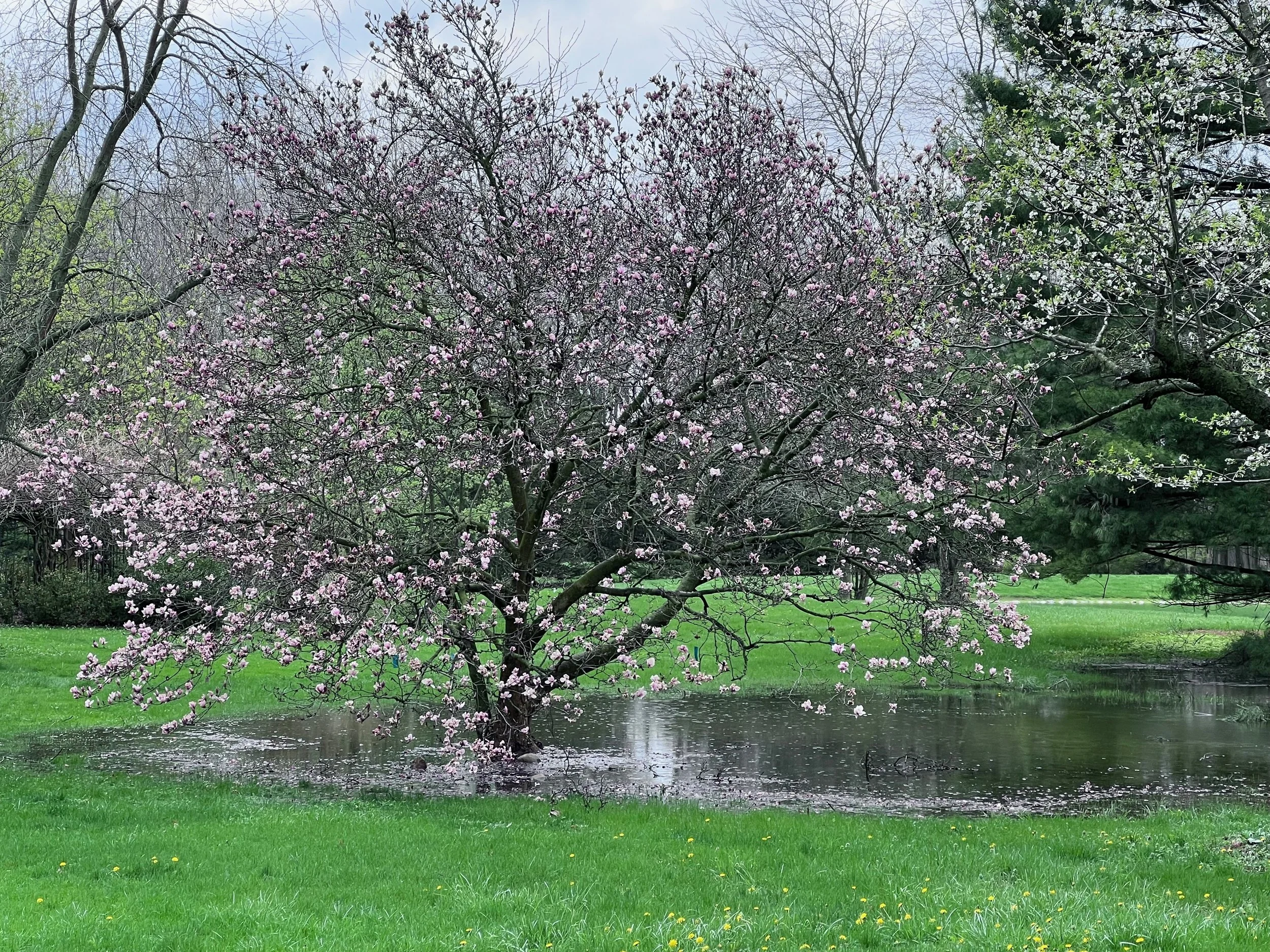 Welcome to the Apr 2026 Newsletter 
