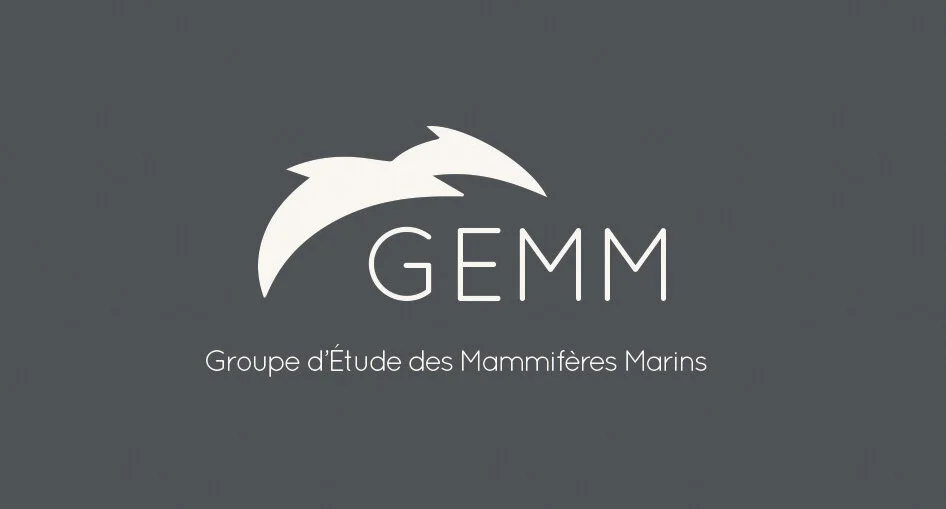 gemm.jpg