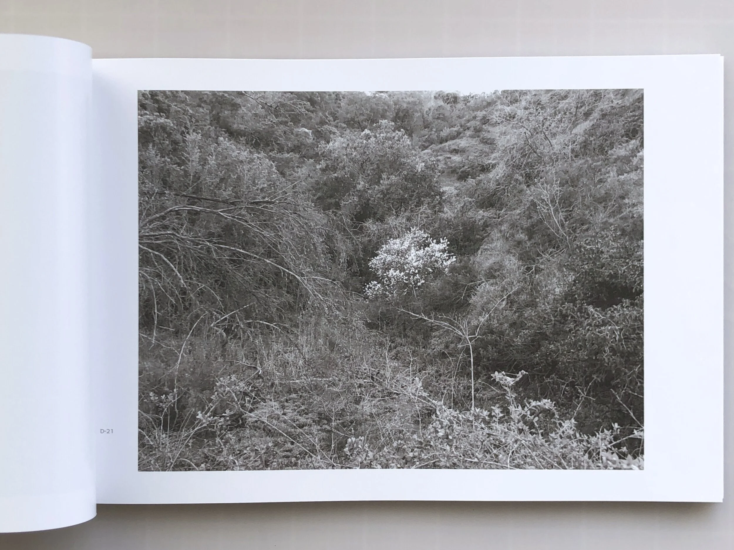 IMG_6001 - Version 2.jpg