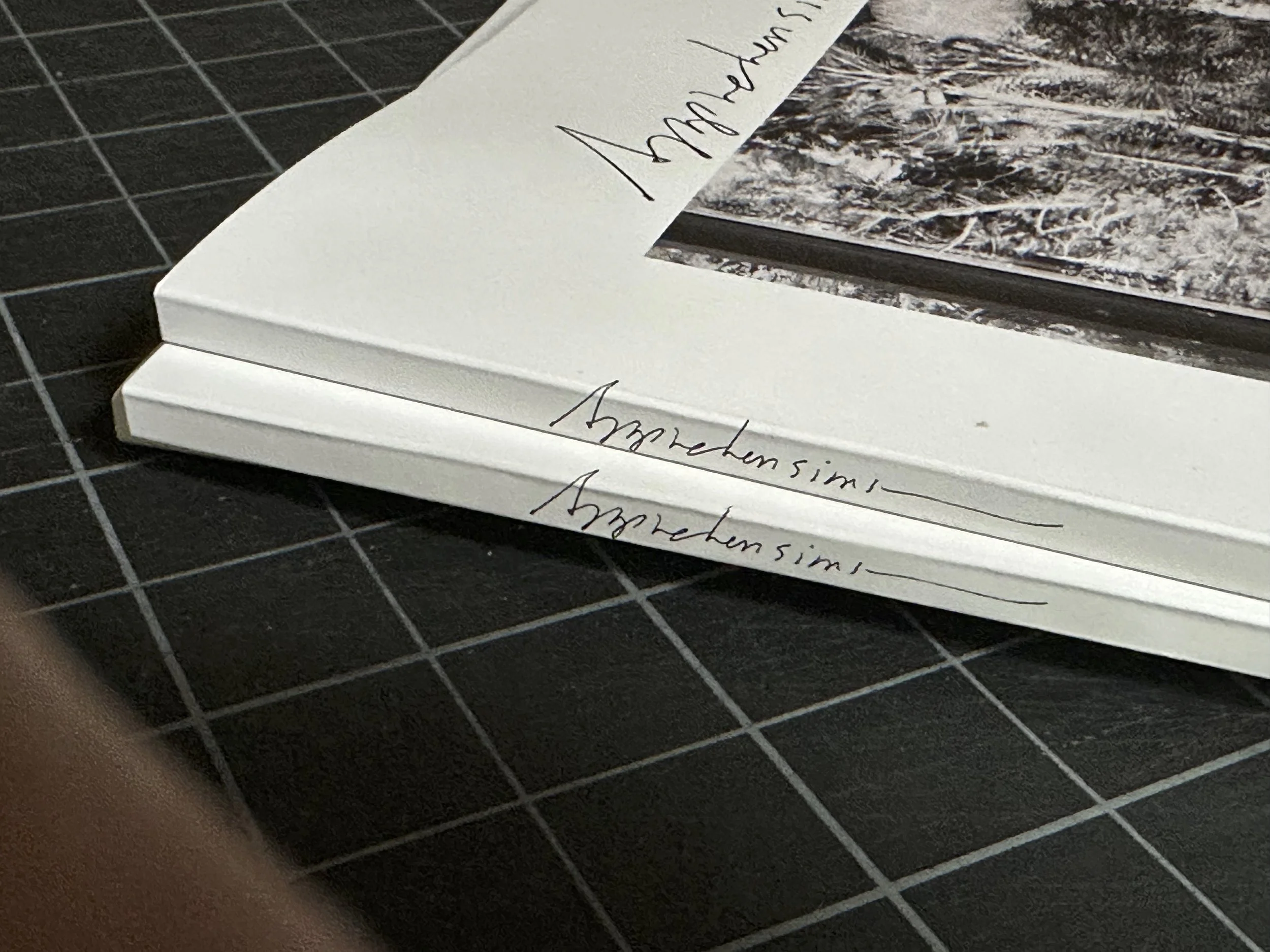 APPR OFC Detail | 2023-P3882.jpeg