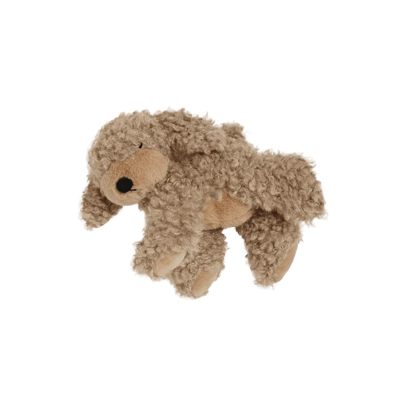 dinkum_puppy_benny_gold_3_800x.webp