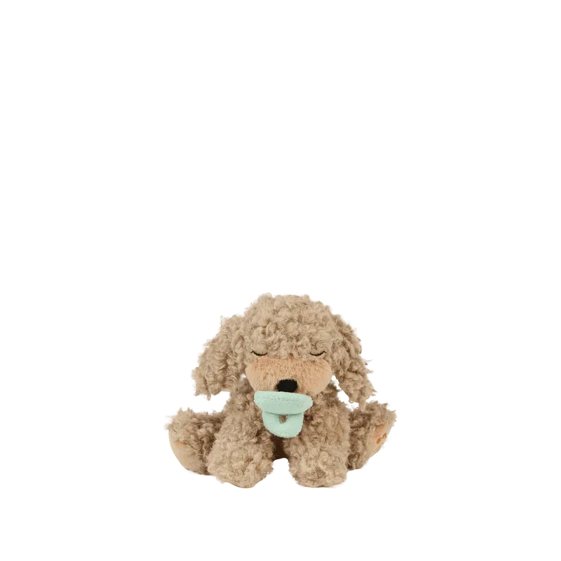 Binky Puppy Benny