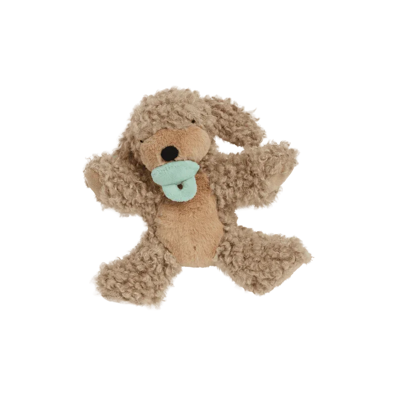 dinkum_puppy_benny_gold_4_800x.webp
