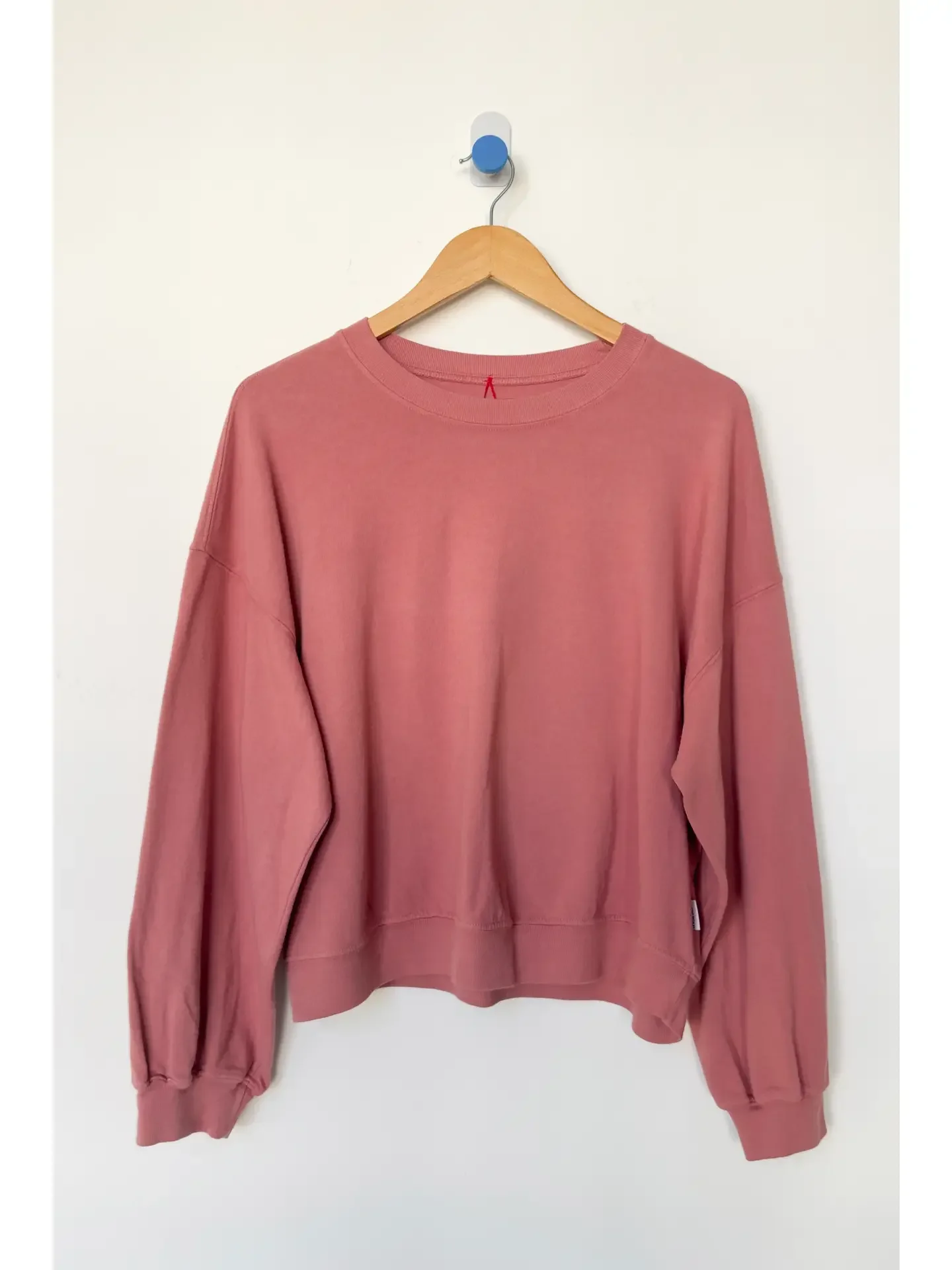 Le Bon Shoppe Cali Jersey Sweatshirt in Clay
