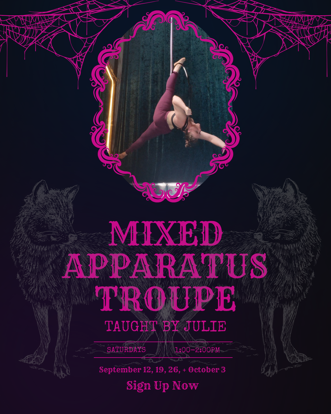 Hoop and Pole Troupe with Julie starting September 12