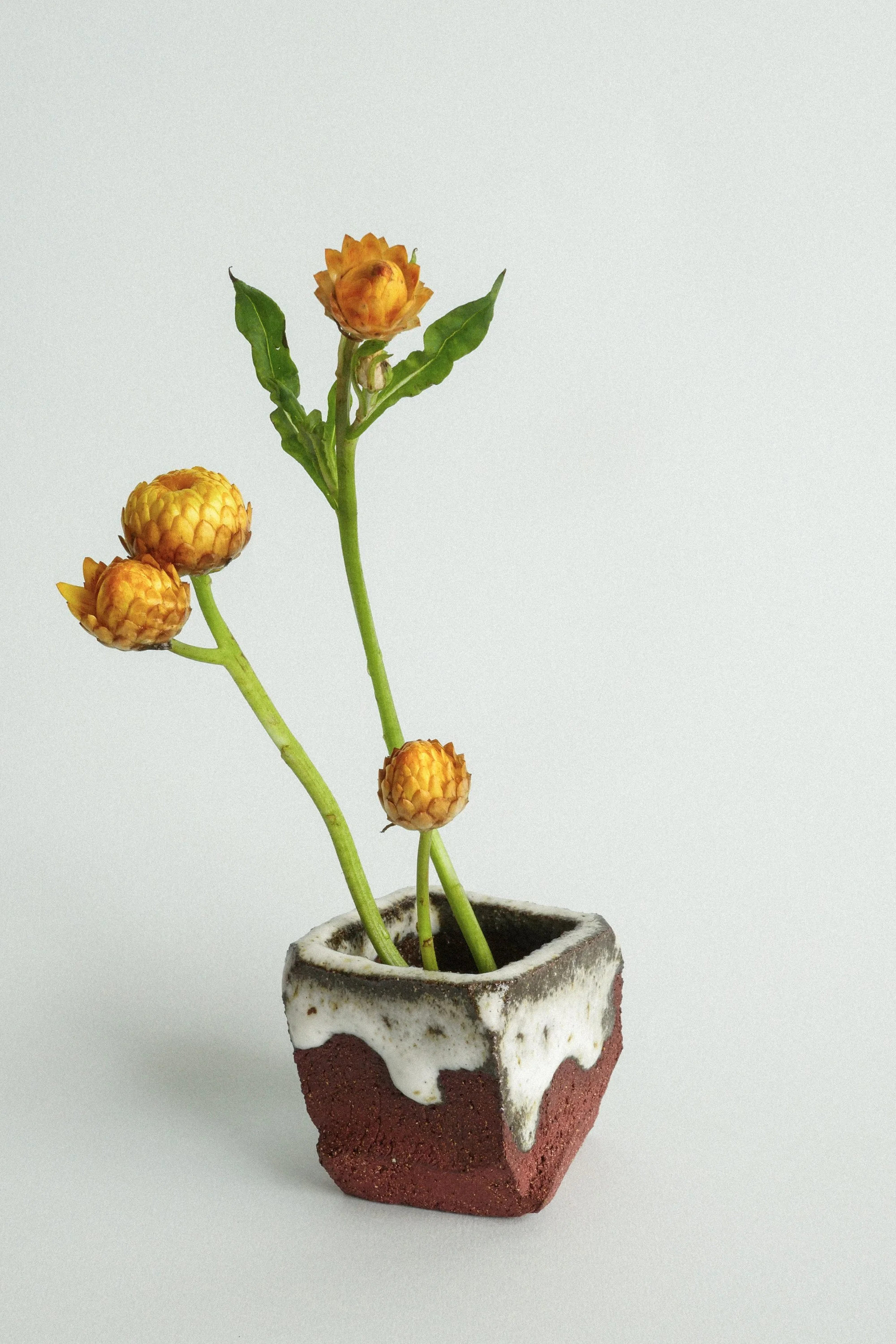 manomani_ikebana_juin26-6.jpg