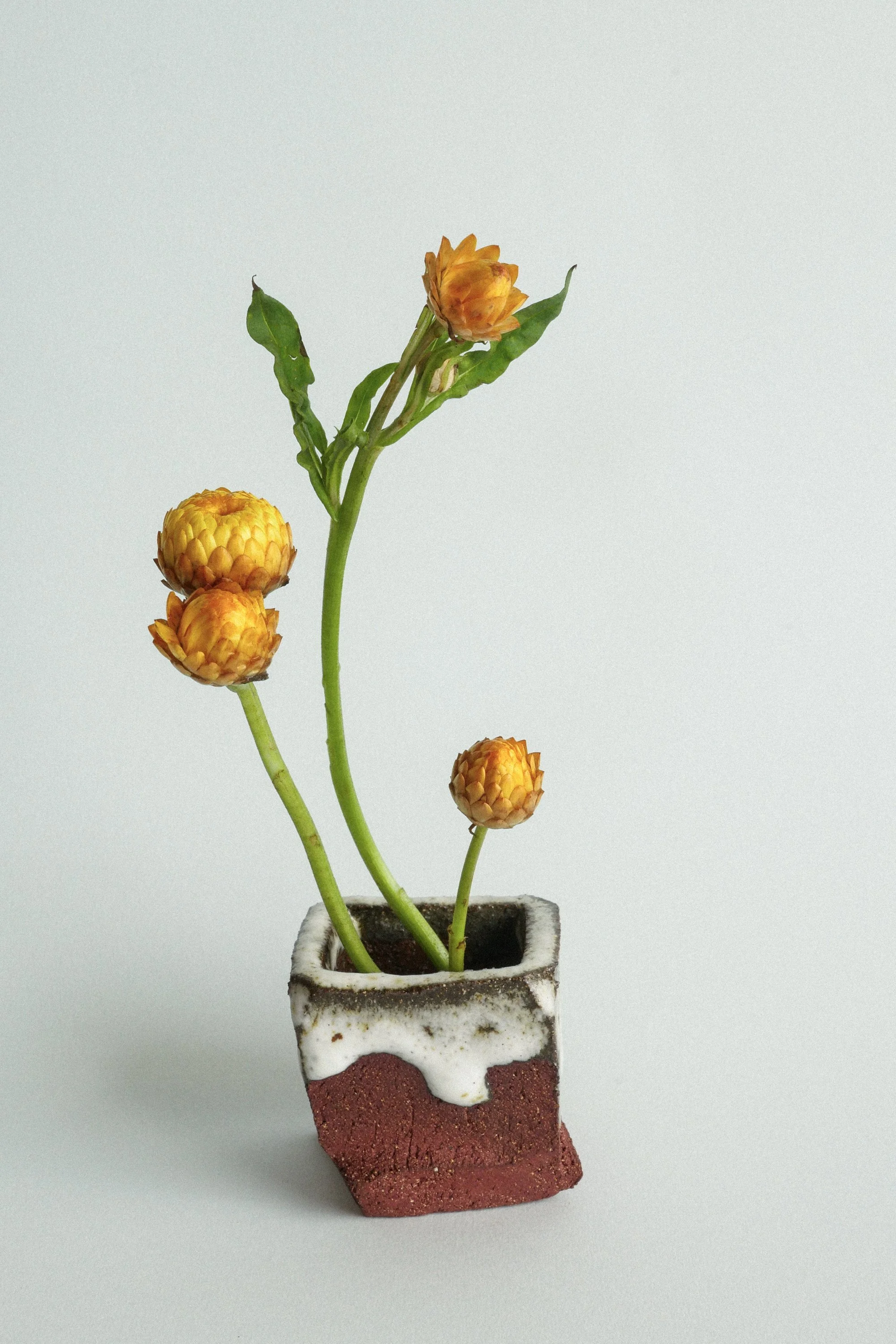 manomani_ikebana_juin26-7.jpg