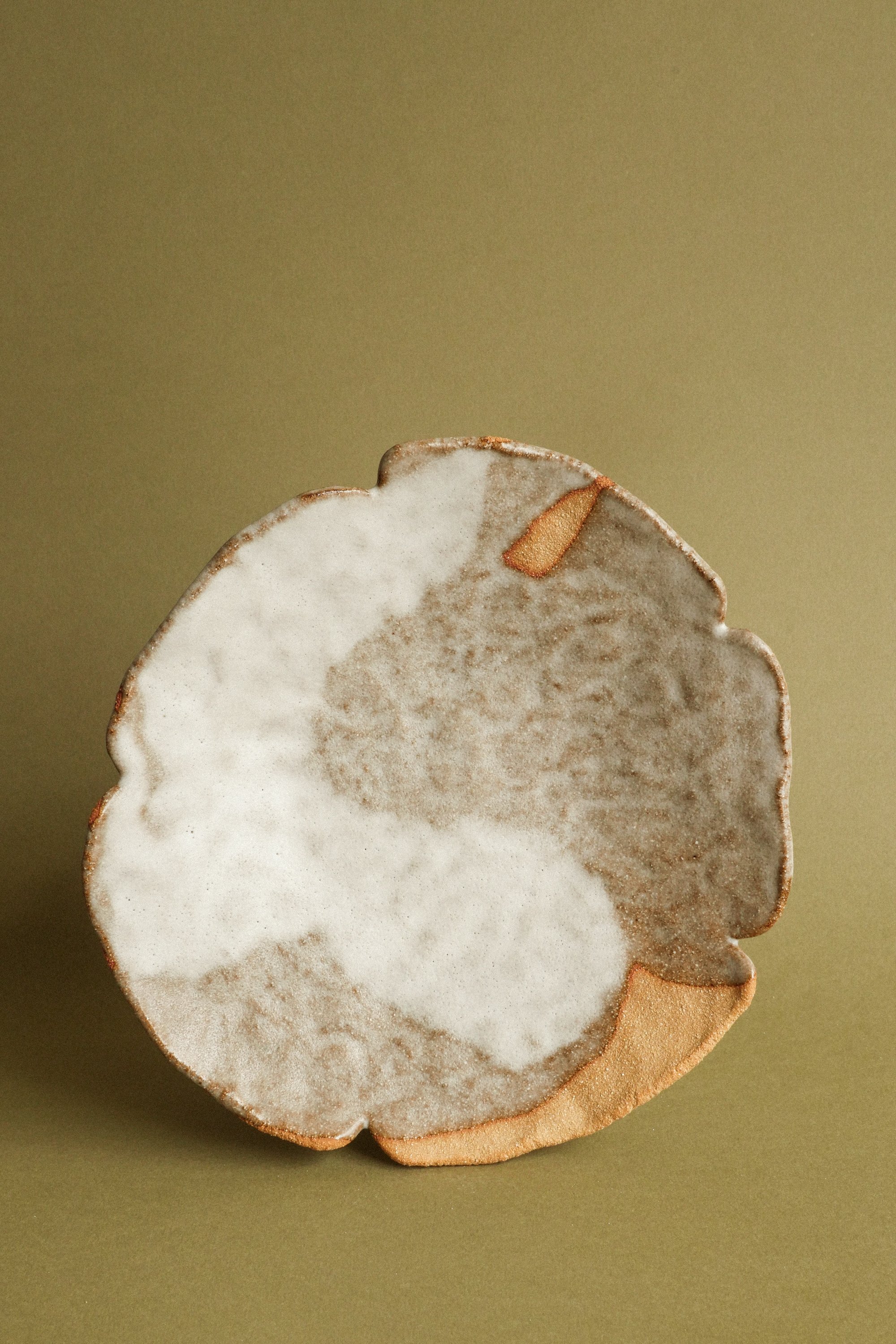 Assiette fleur brute 11.