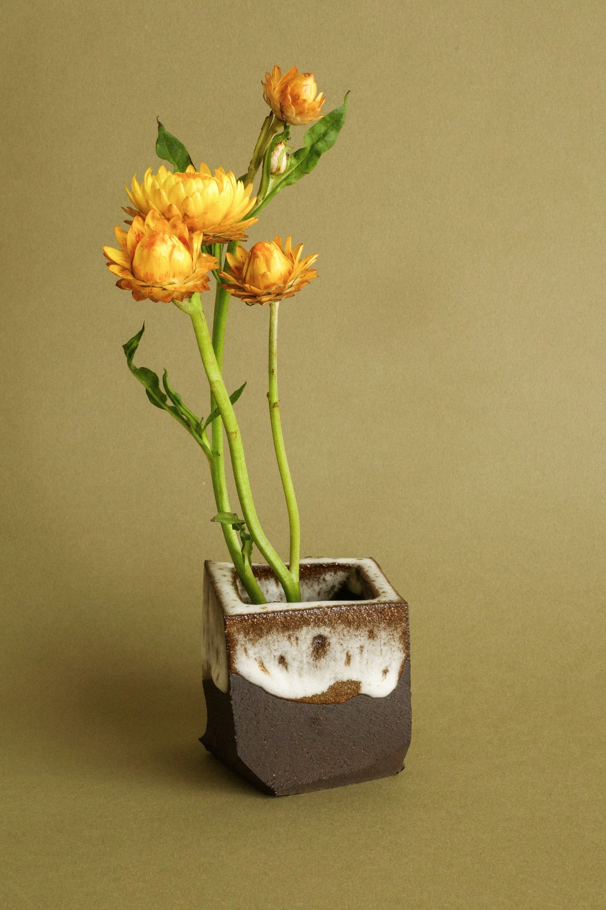 manomani_ikebana_juin26-79.jpg