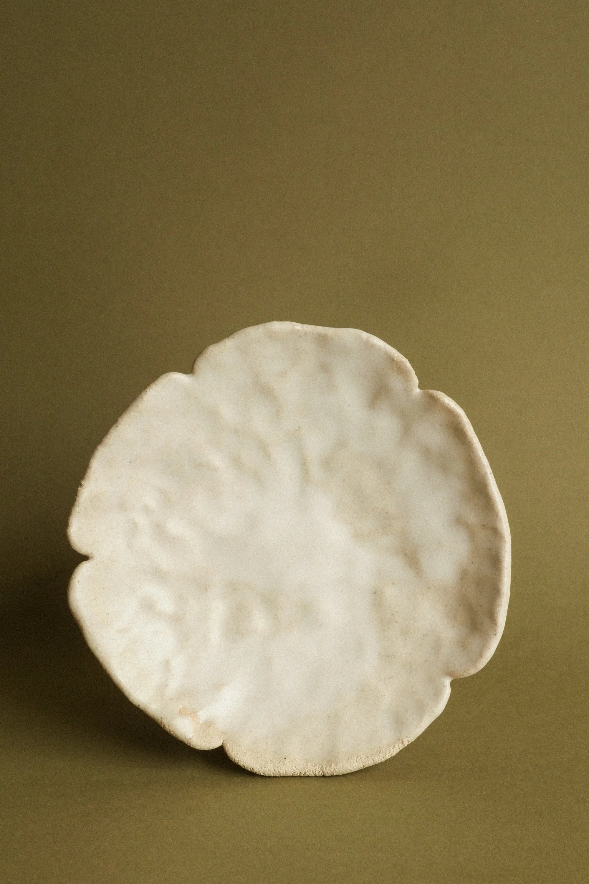 manomani_pasta_juin26-24.jpg
