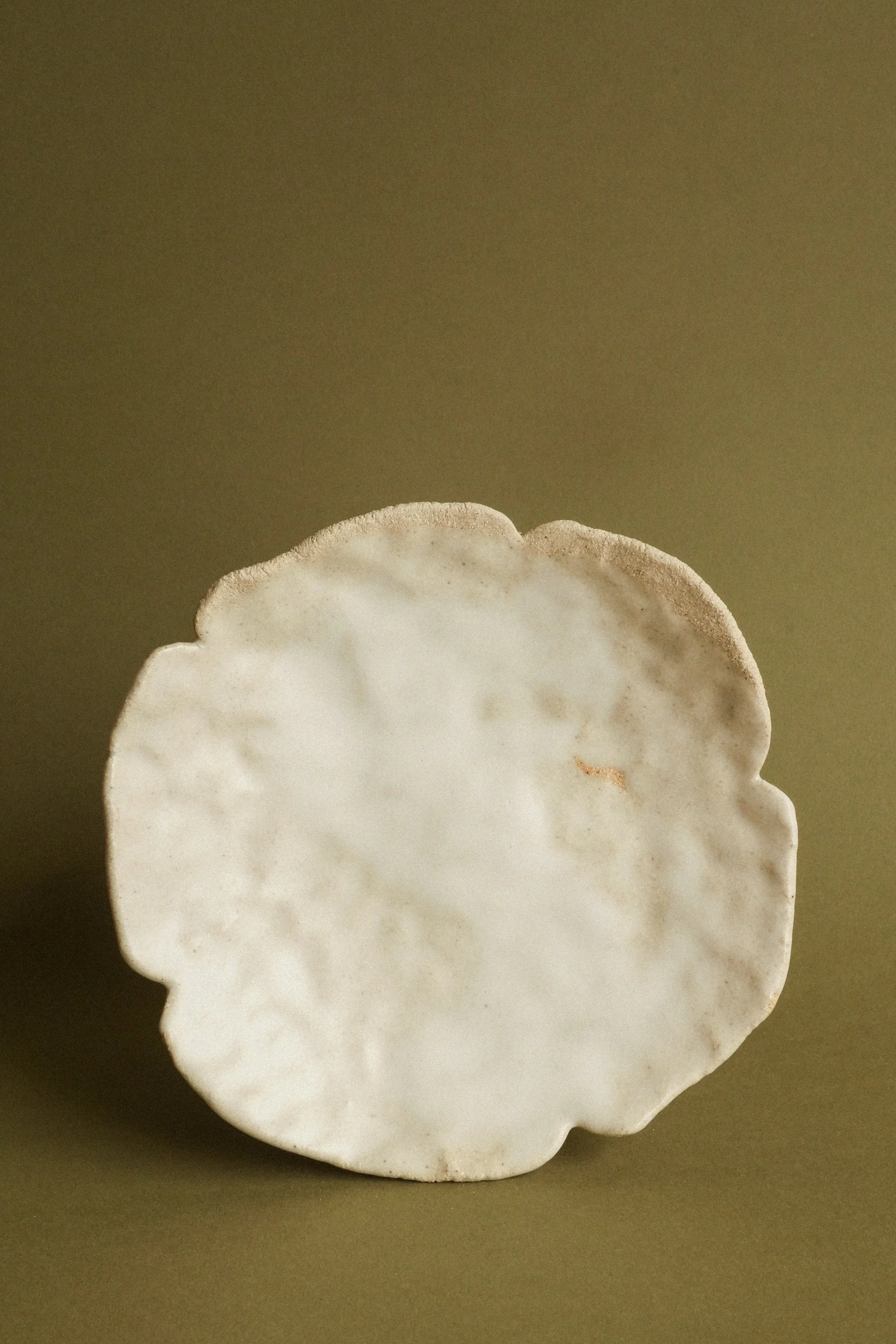manomani_pasta_juin26-23.jpg