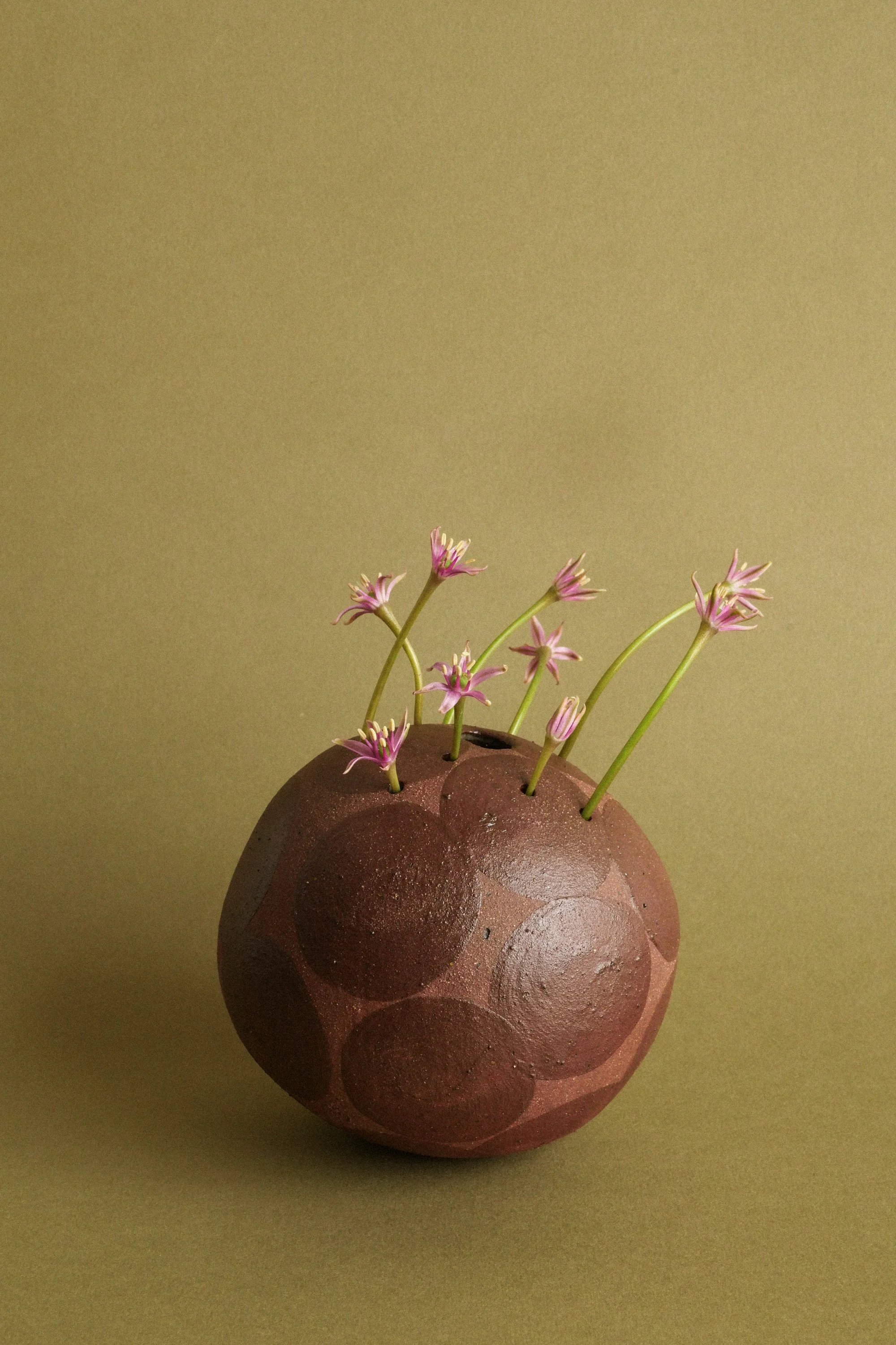 manomani_ikebana_juin26-81.jpg