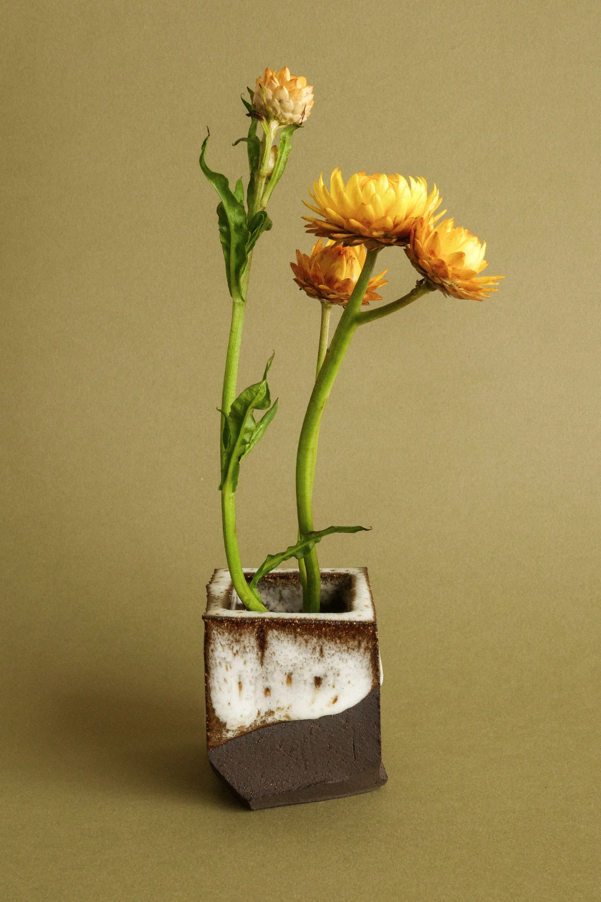 manomani_ikebana_juin26-78.jpg