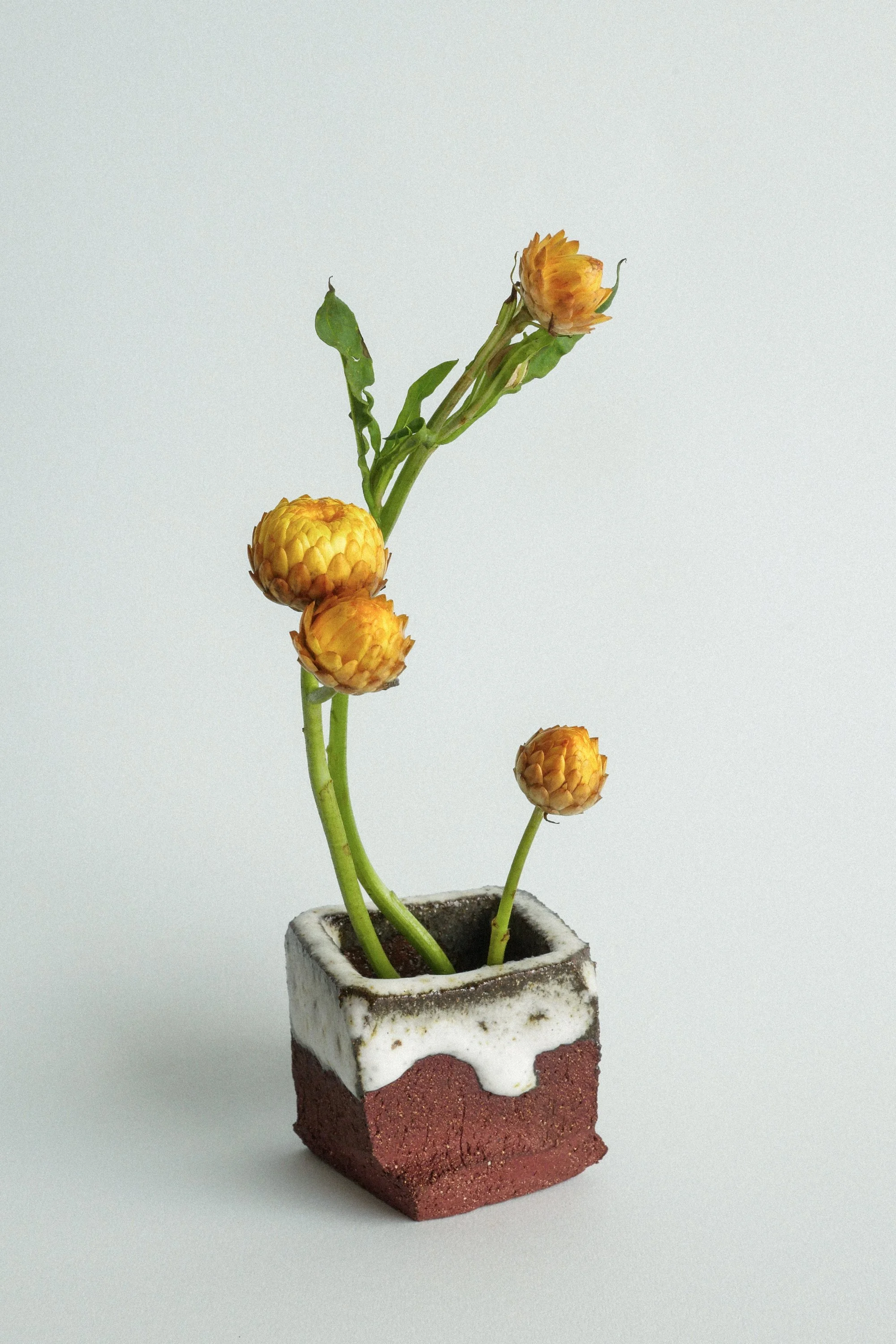 manomani_ikebana_juin26-8.jpg