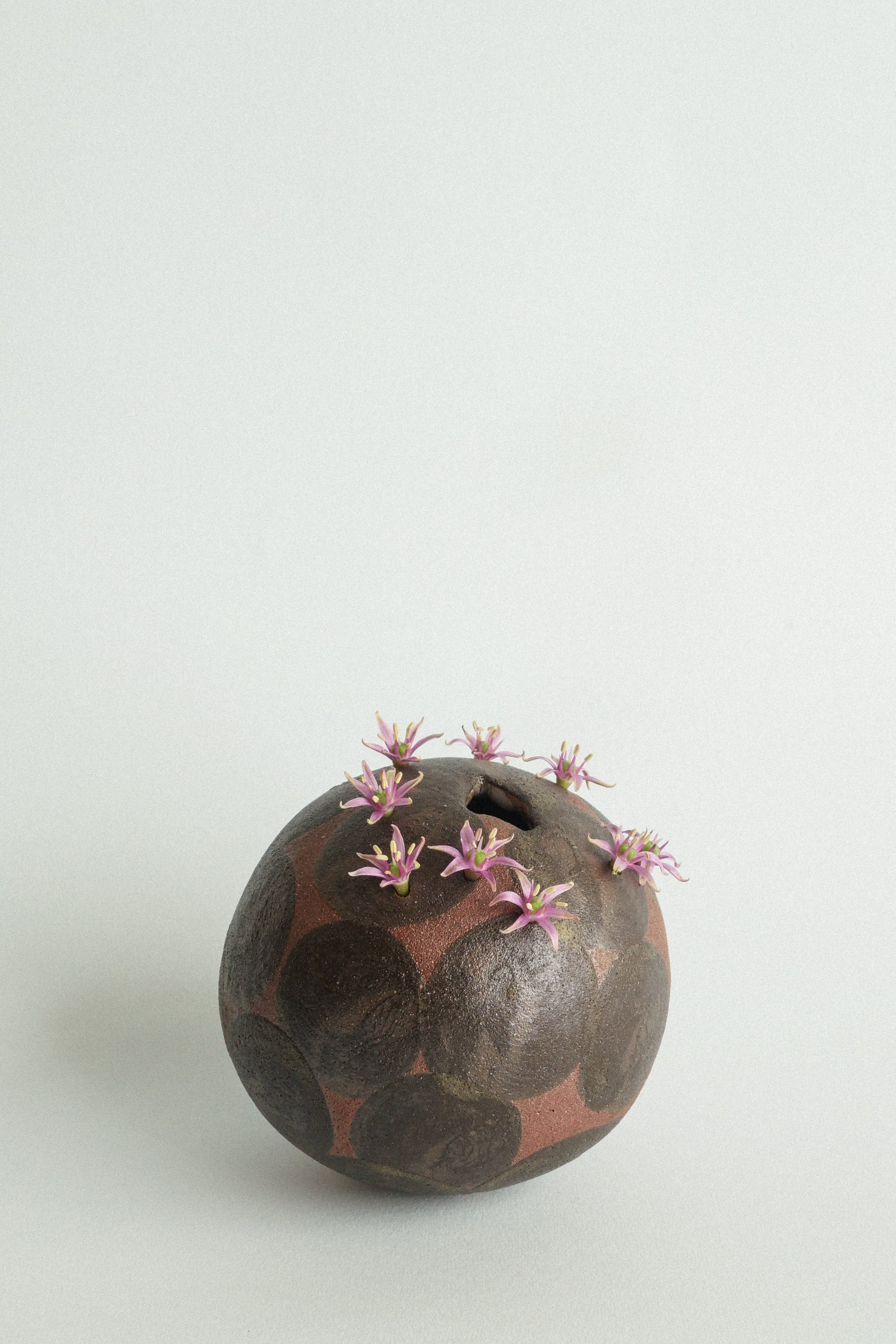 manomani_ikebana_juin26-22.jpg
