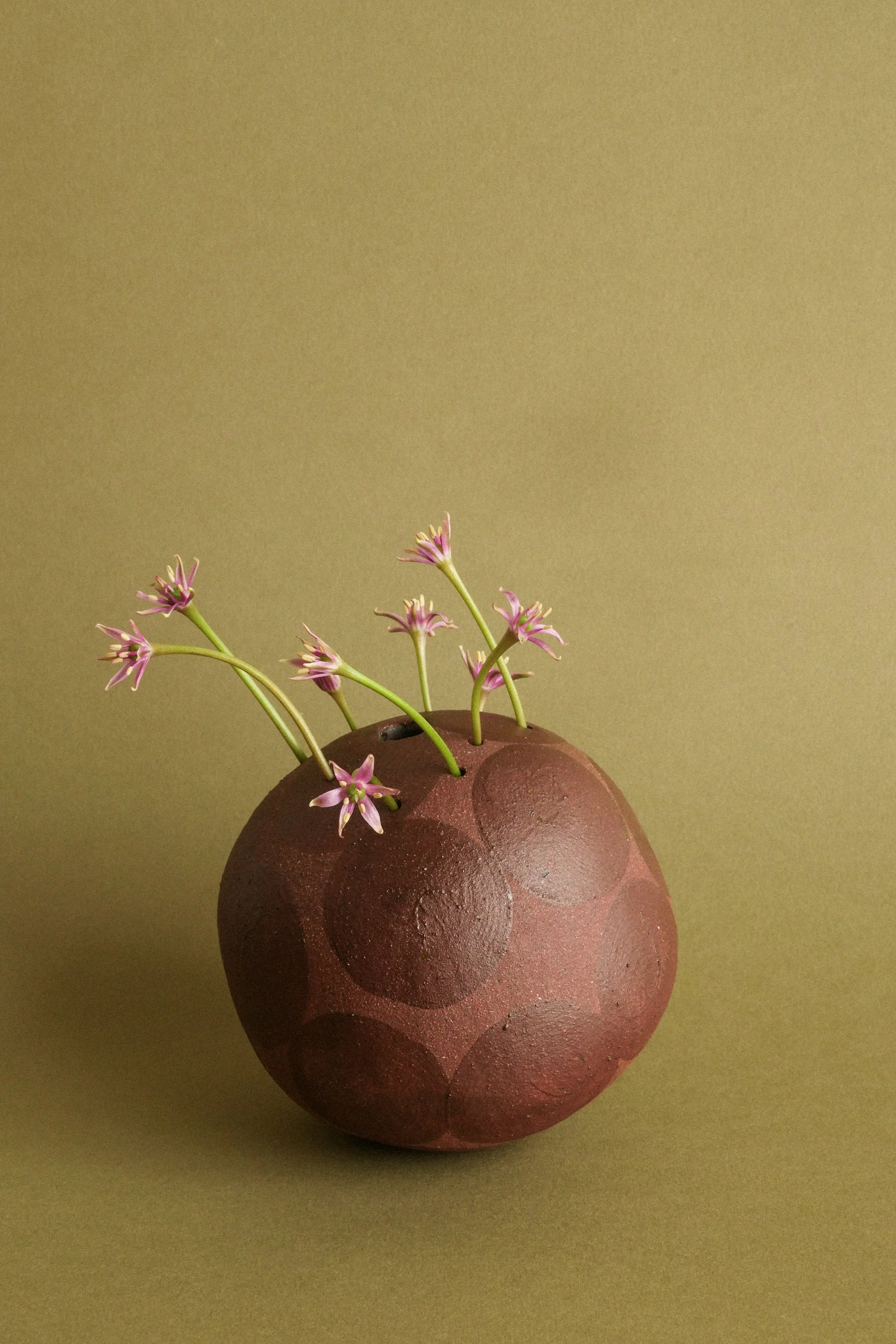 manomani_ikebana_juin26-80.jpg