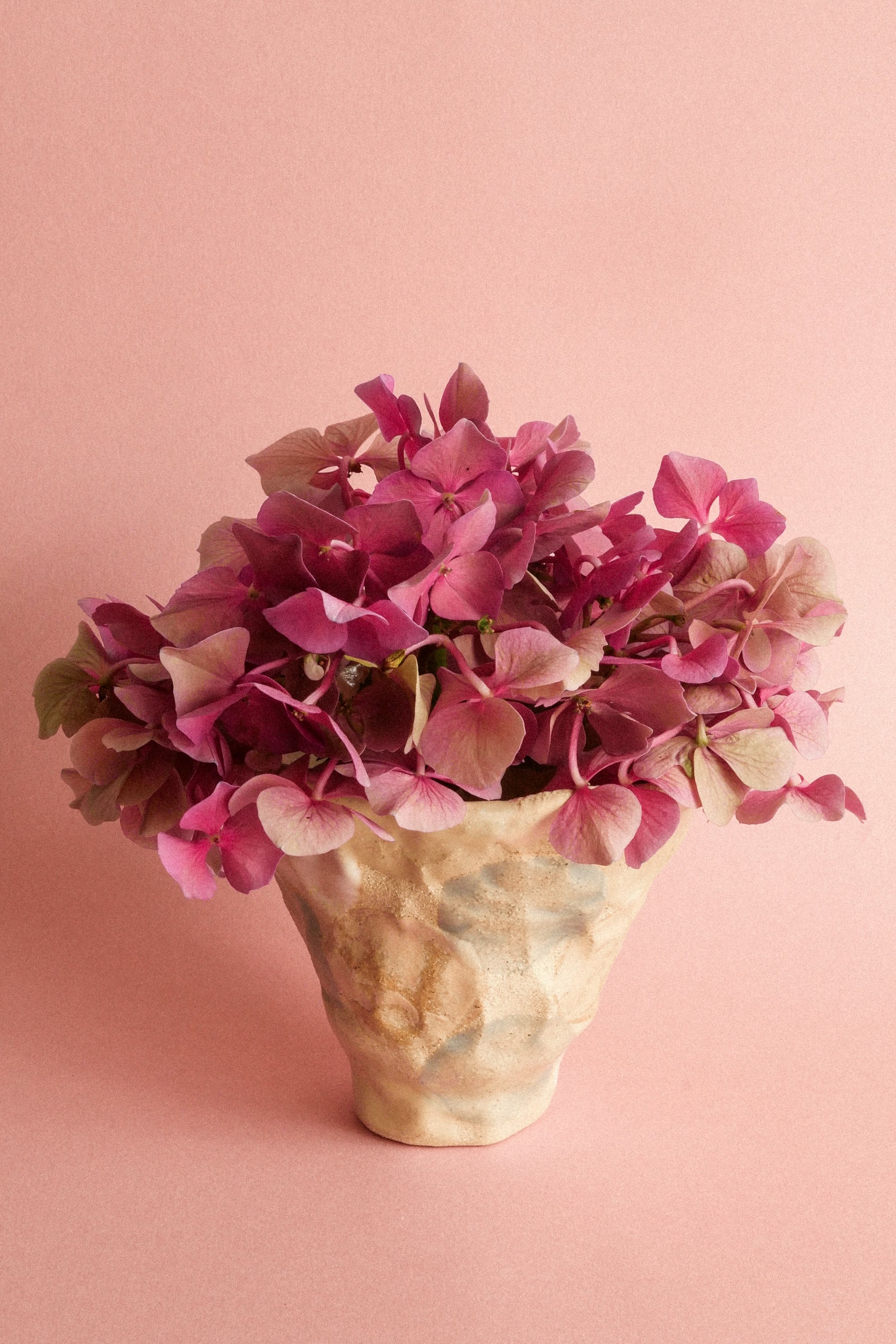 manomani_ikebana_pasat-2.jpg