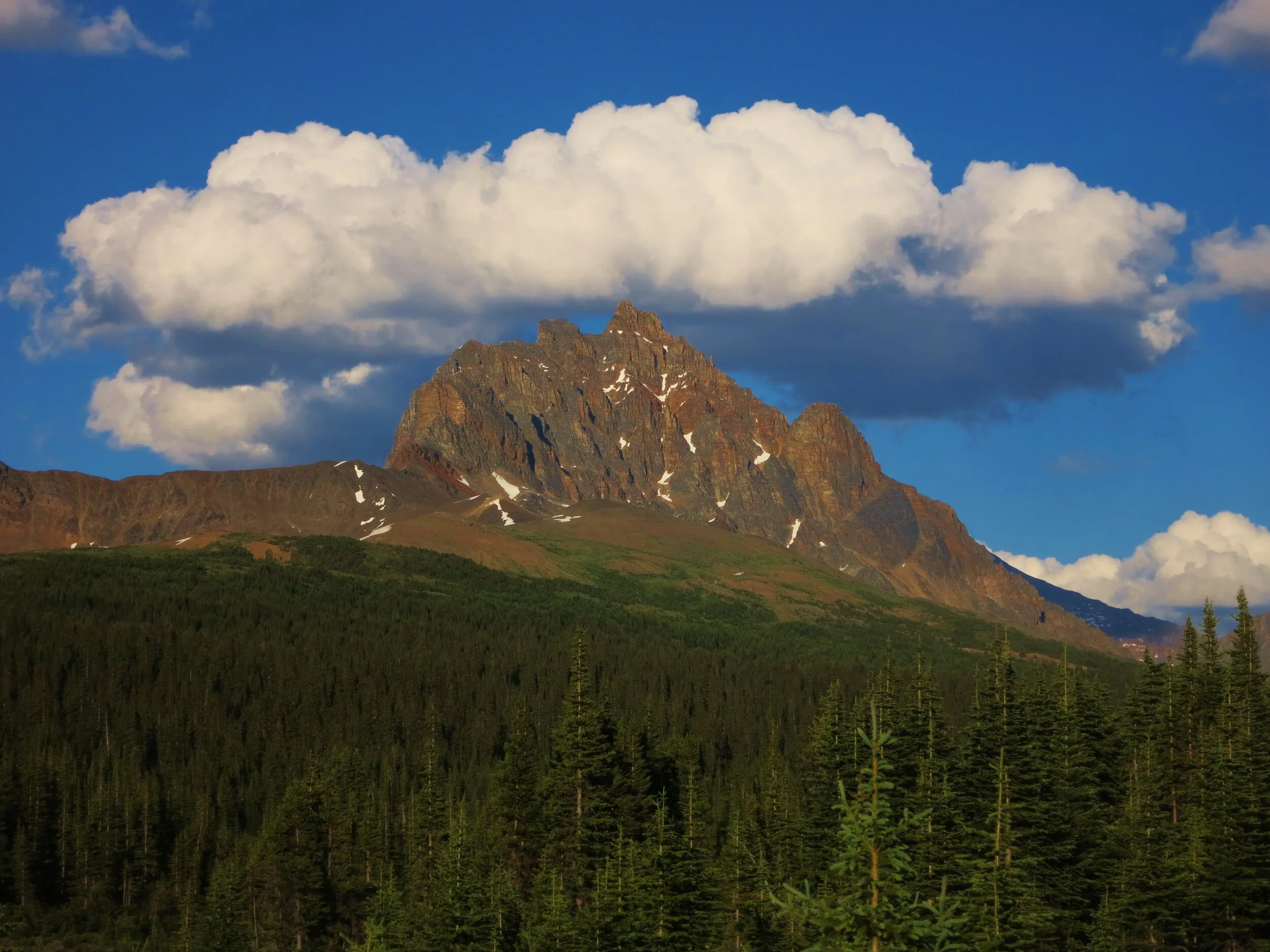 OldHorn Mt and cumulus clouds, Tonquin Valley, Jasper National Park