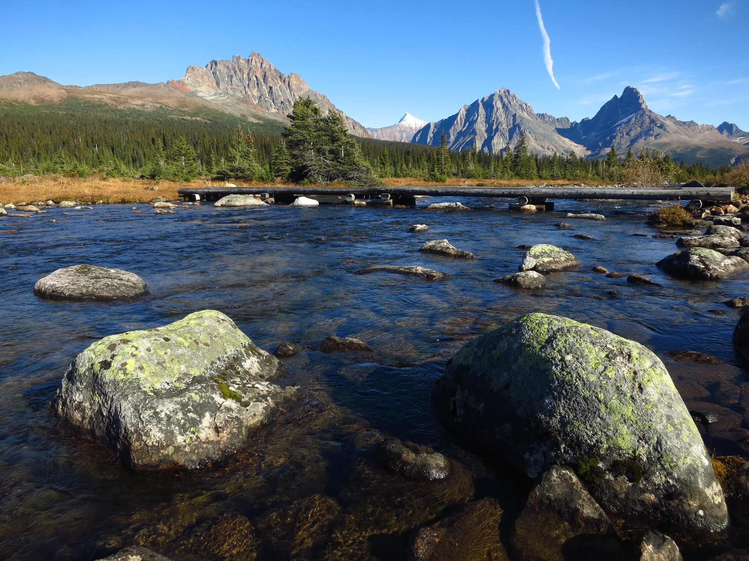 The outlet of Amethyst lake, Tonquin Valley, Jasper National Park