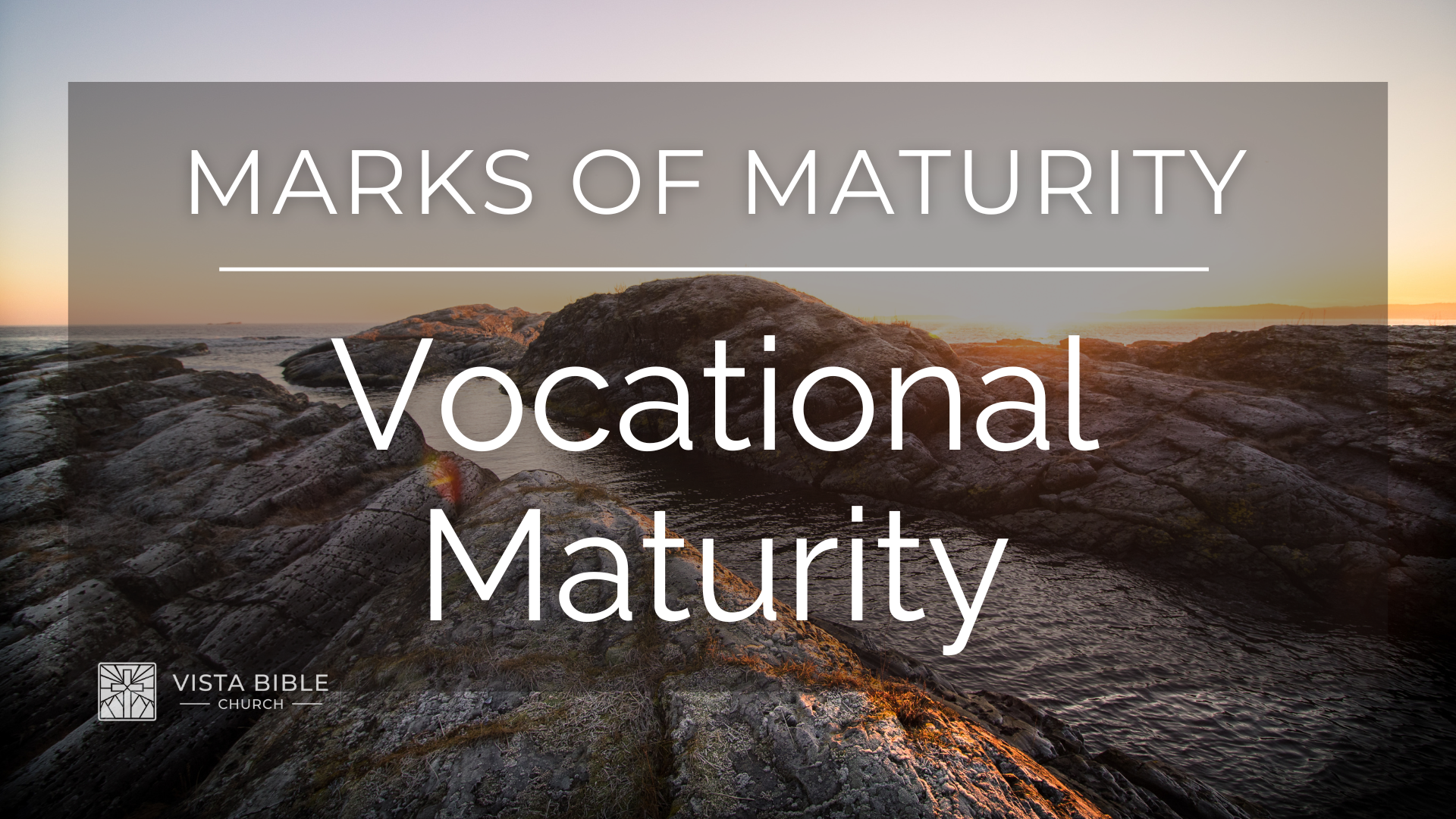 Vocational Maturity