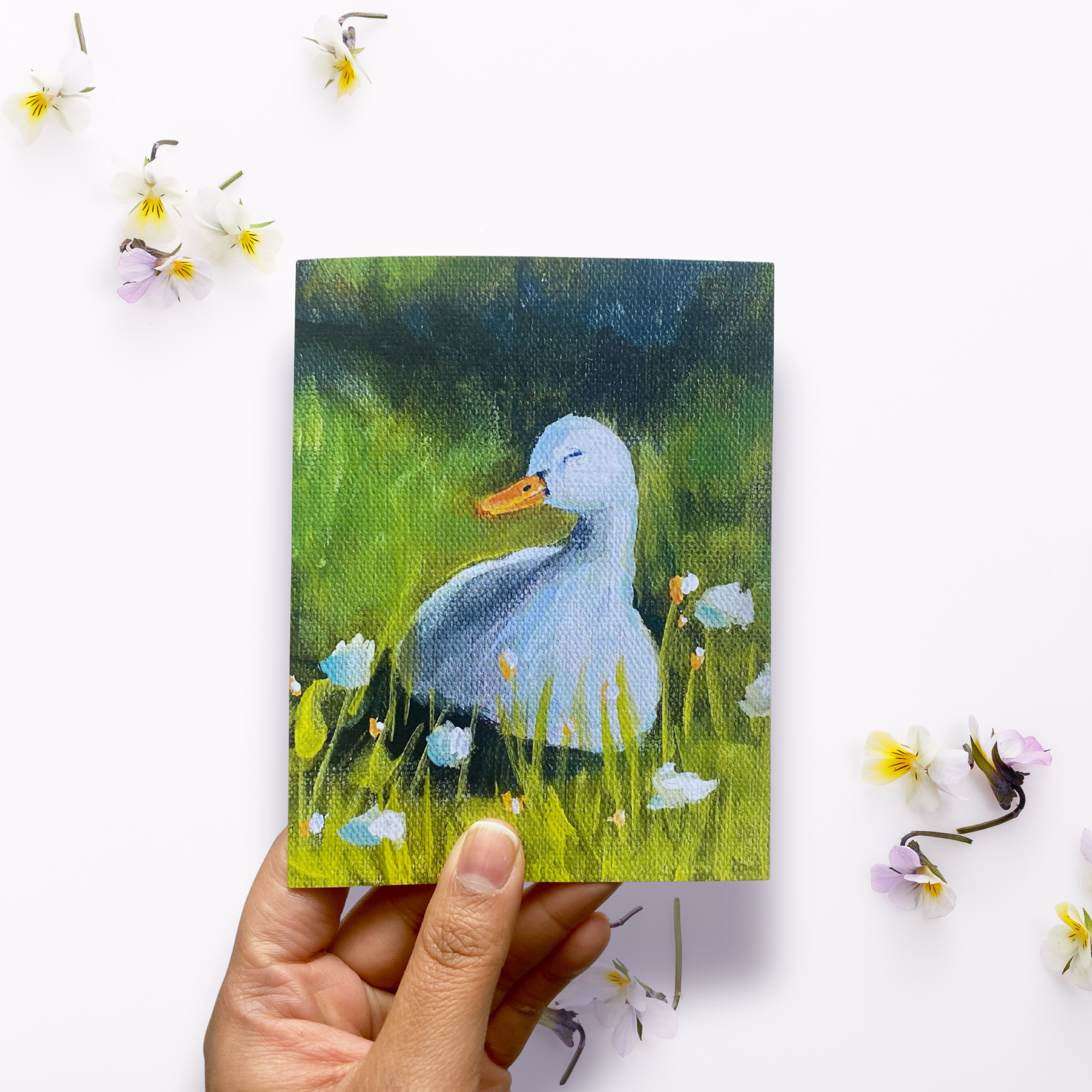 duck 2.png
