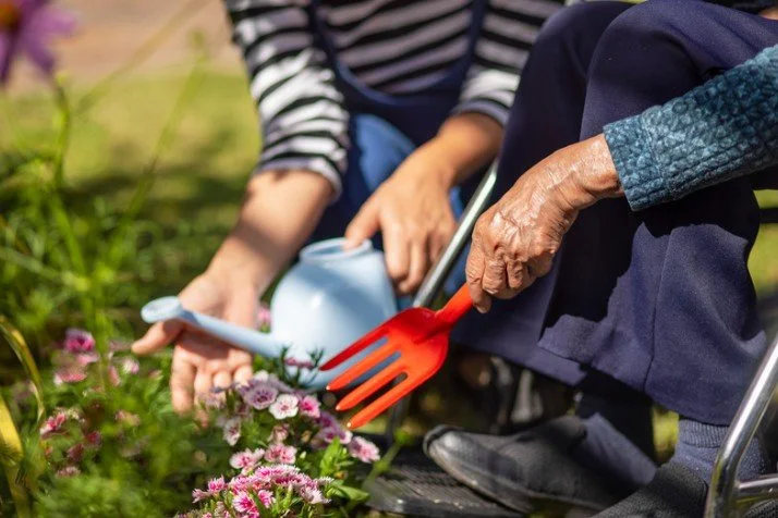 Caregiver Action &amp; Resource Education Series- Lincoln