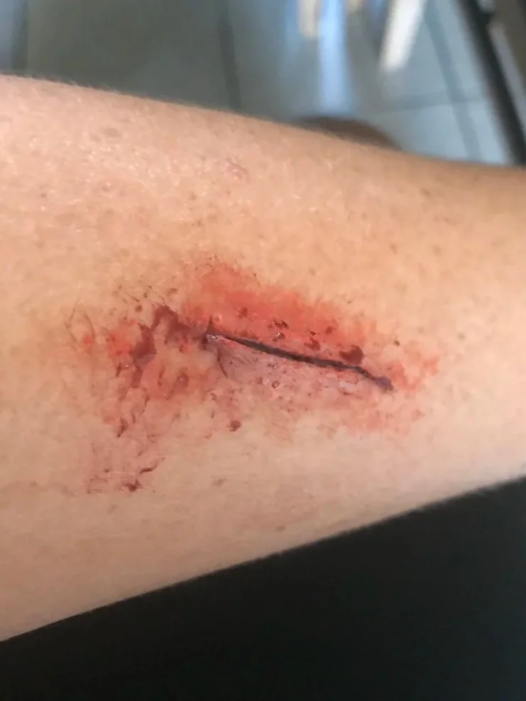 DEEP CUT