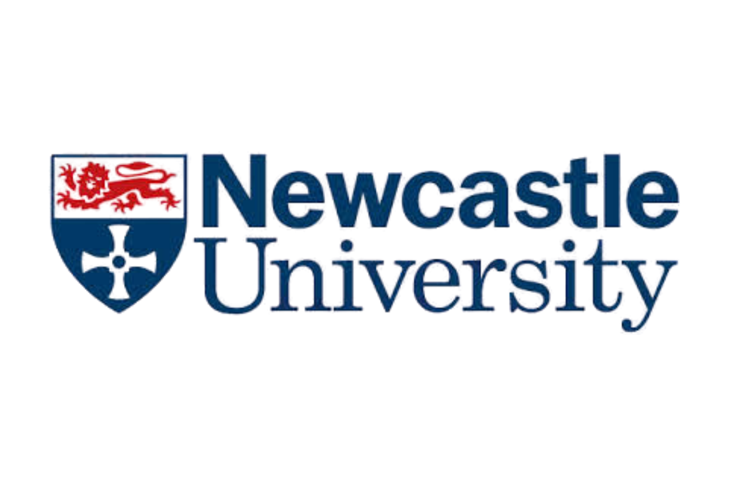 Professor Ruth McAreavey FAcSS, Head of Sociology, Newcastle University