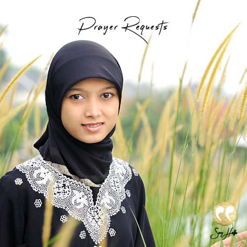 Prayer Requests for the Week of November 22