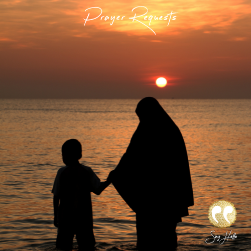 Prayer Requests for the Week of February 27