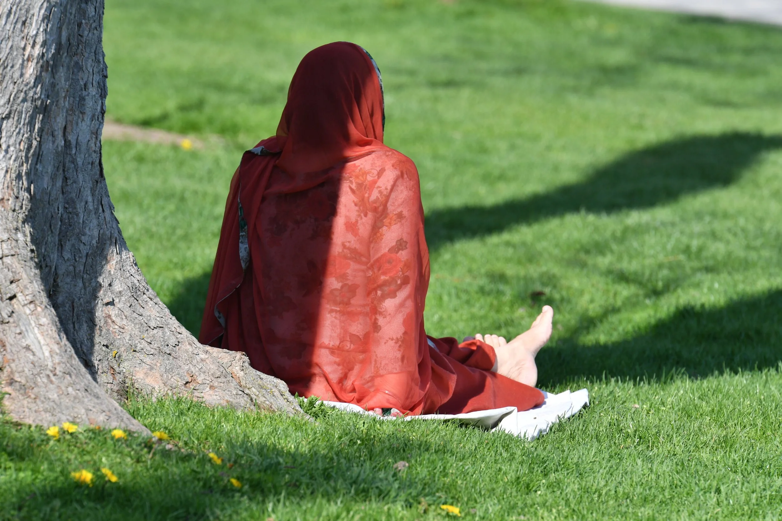 Una sombra que compartir