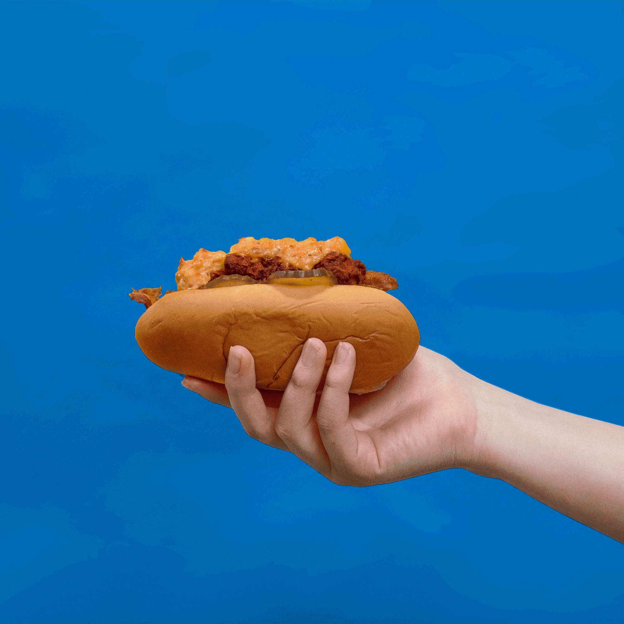 Nash's Hot Chicken