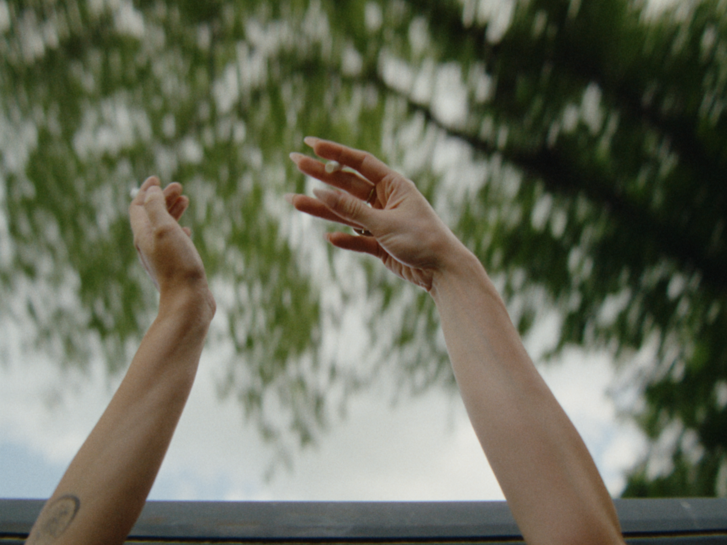 60 DIR CUT - ONLINE 4x3 for stills-00-00-15-151.jpeg