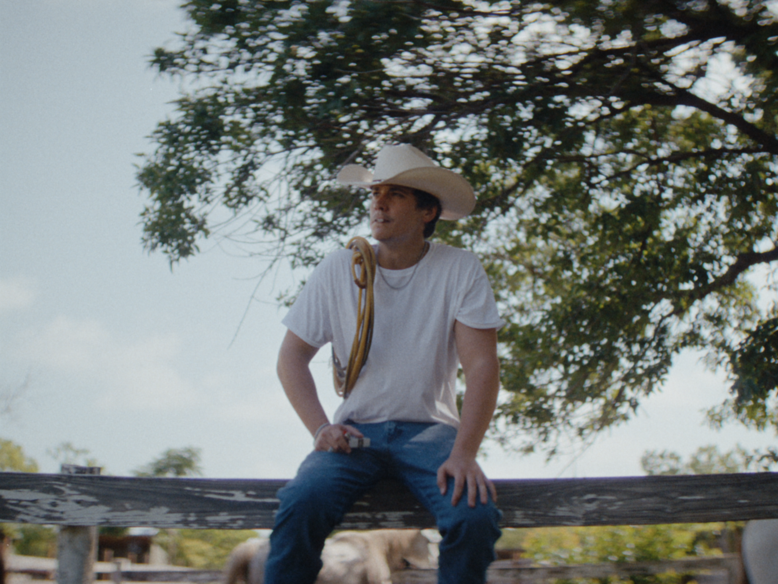 60 DIR CUT - ONLINE 4x3 for stills-00-00-19-293.jpeg