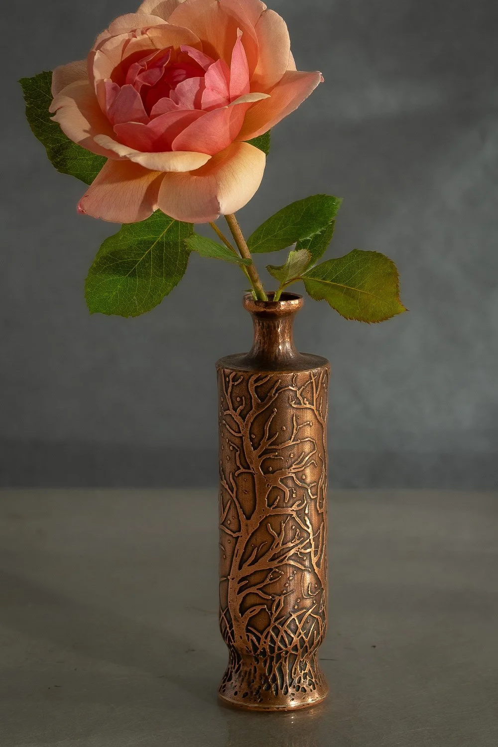 DSC09454-4.jpg