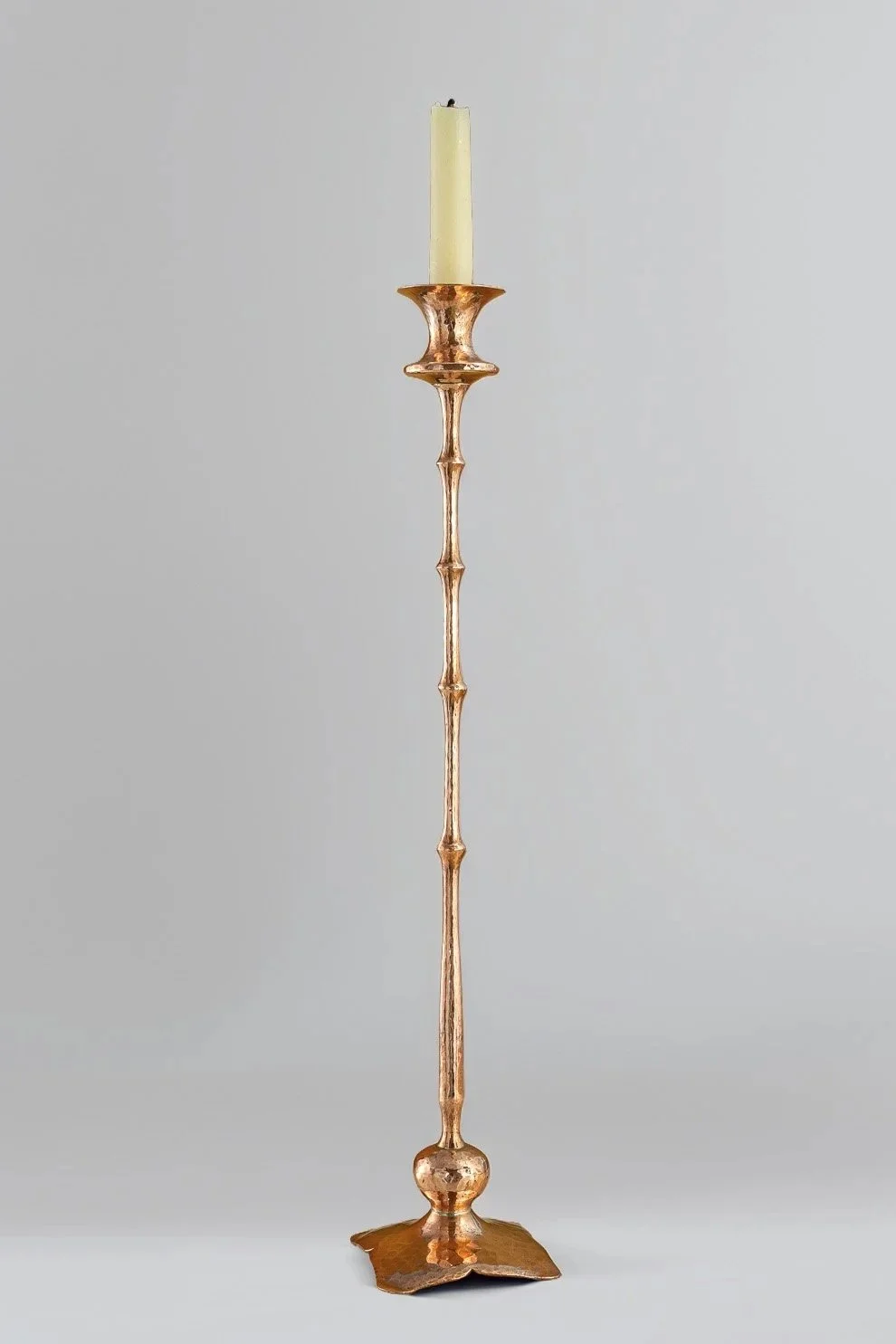 'Hedera' - Height 20.5 inches